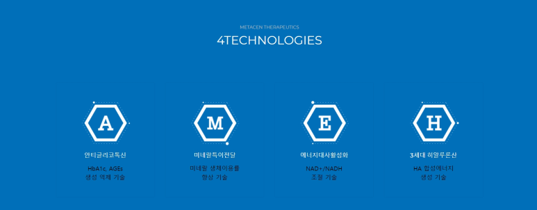 메타센 이미지