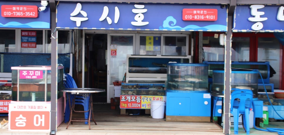수시호 이미지