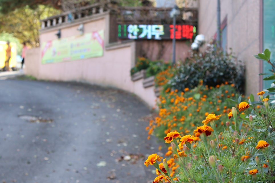 고구려축산 이미지