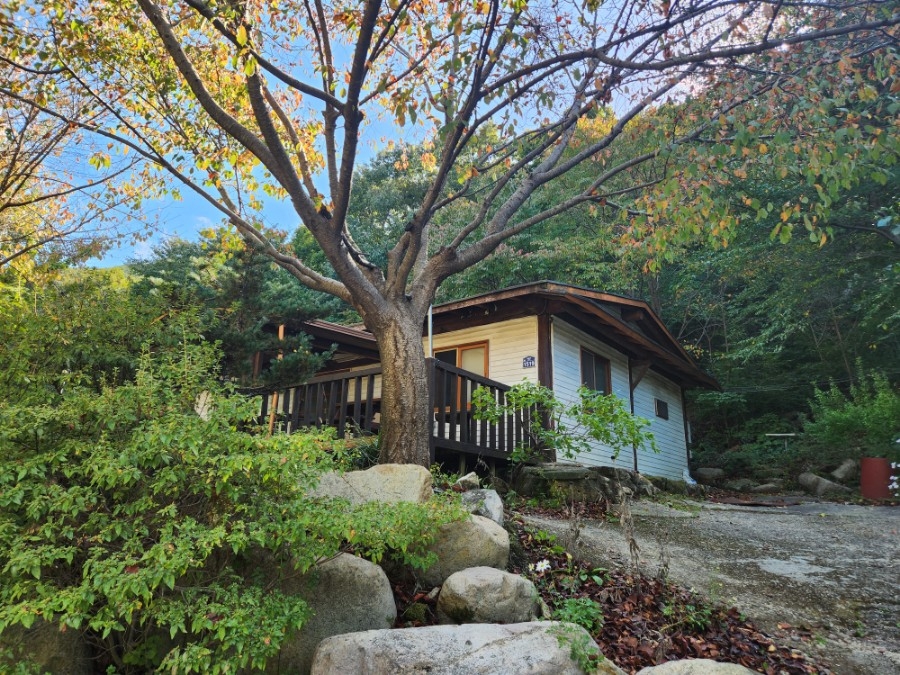 사계절산장 이미지