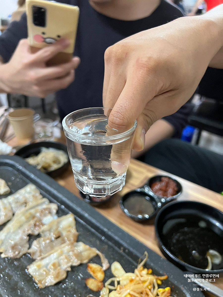 만리포똥돼지 이미지