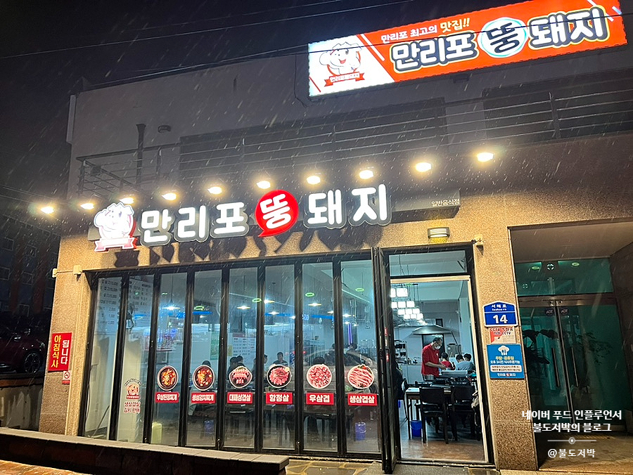 만리포뚱돼지 이미지