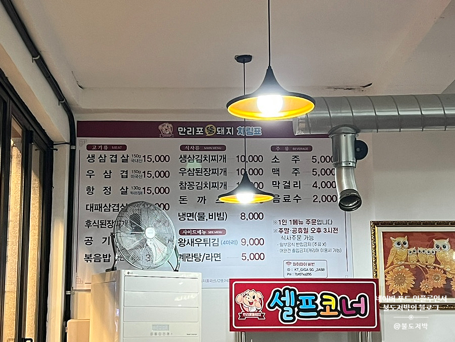 만리포똥돼지 이미지