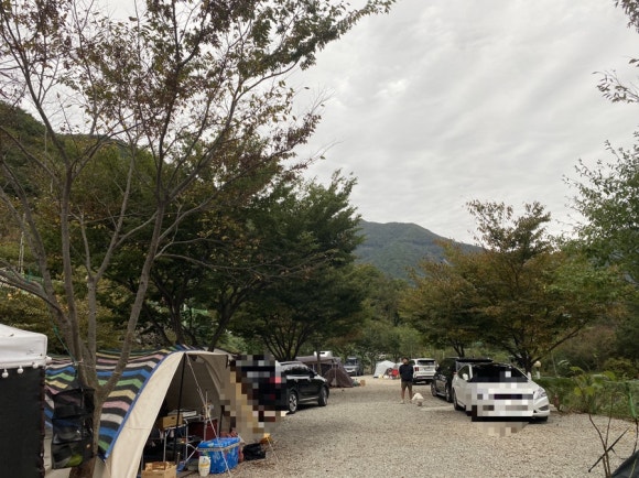 천태산오토캠핑장 이미지