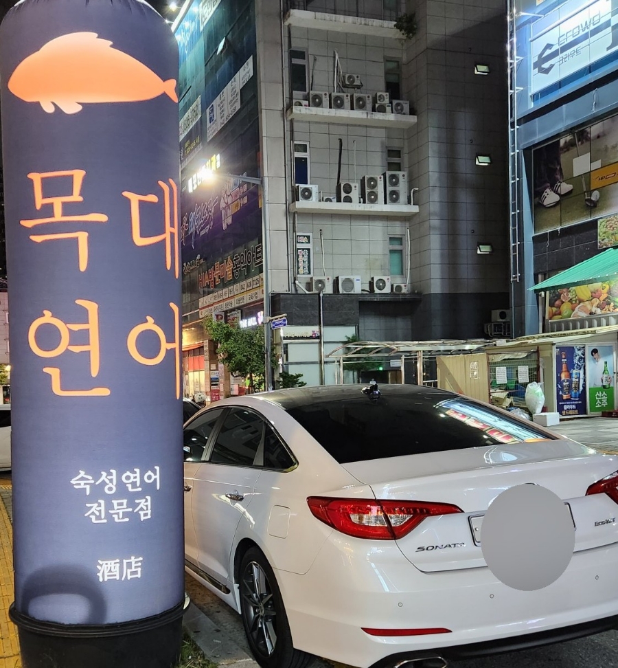 목대연어 이미지