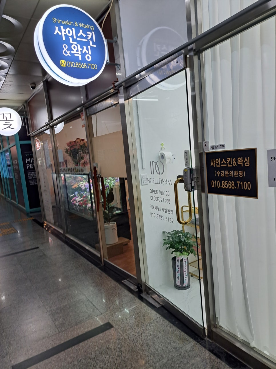 인셀덤샤인 이미지