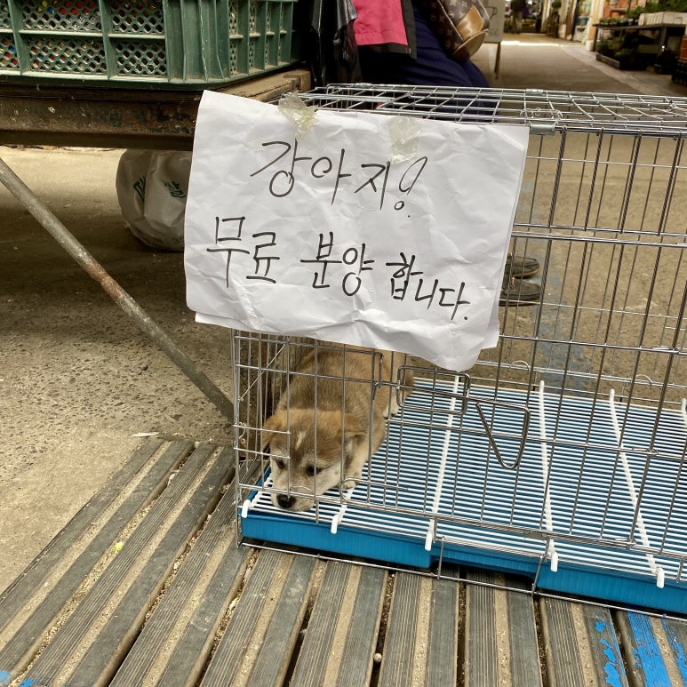 미숙이네김밥 이미지