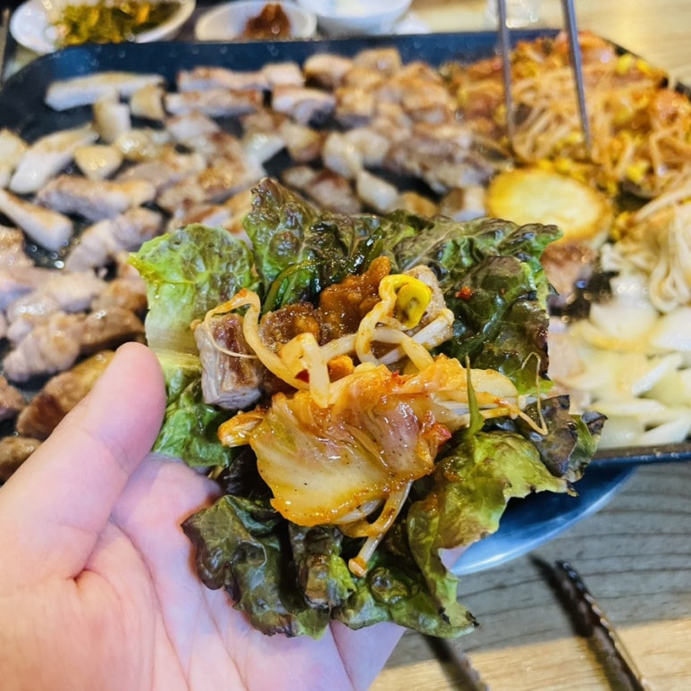 돼풍이 이미지