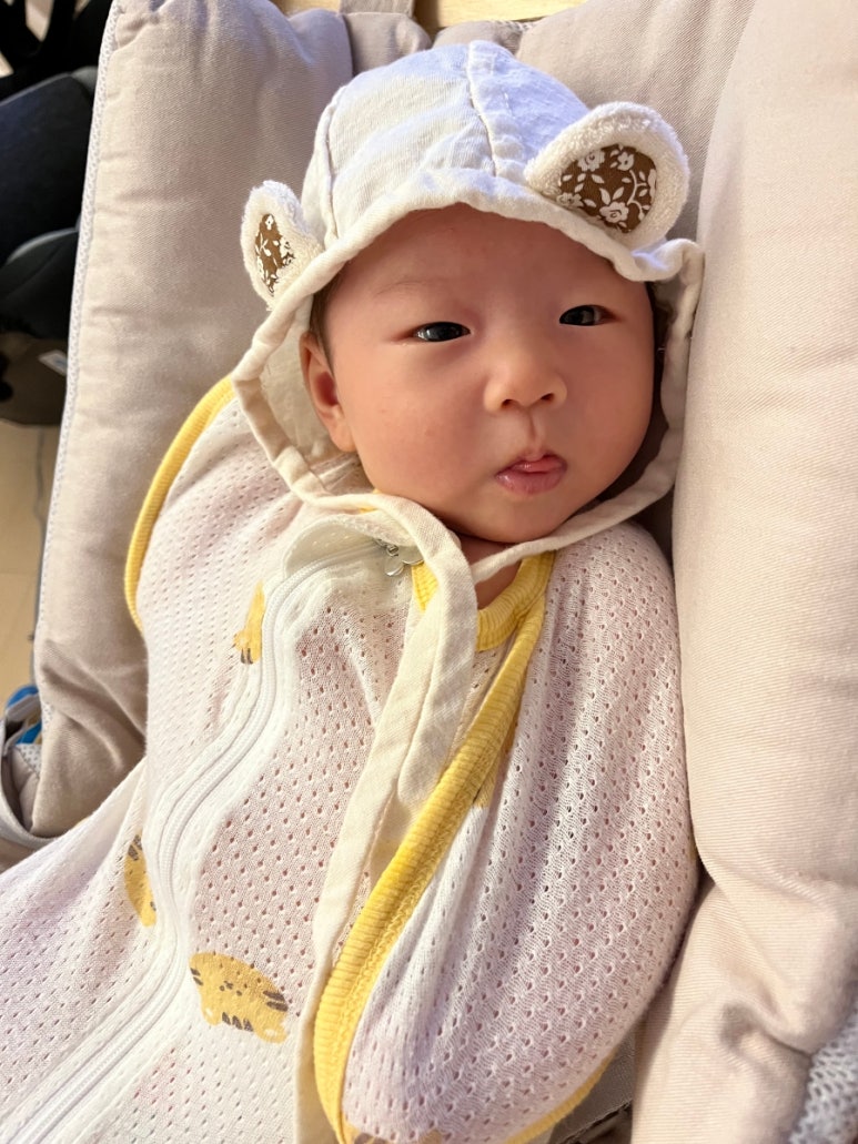 케키모음집 이미지