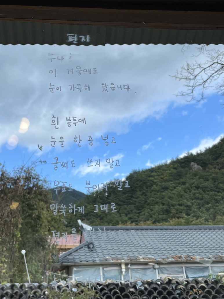 나무와그릇 이미지
