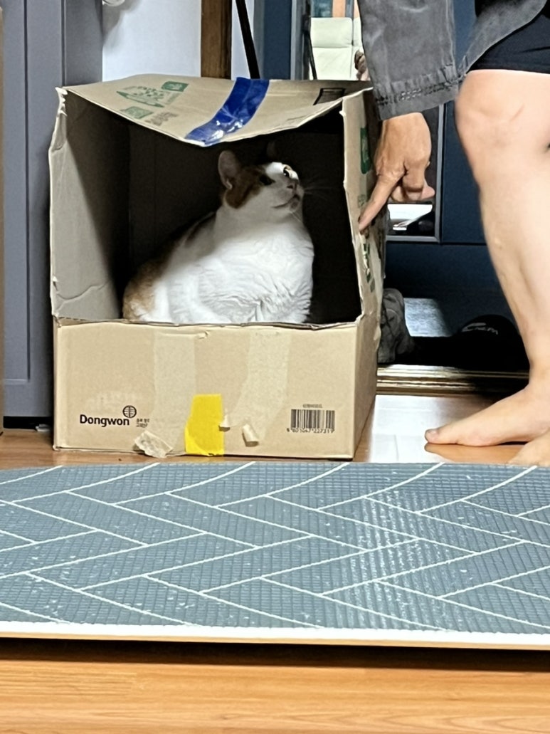 탐앤탐스중노송점 이미지