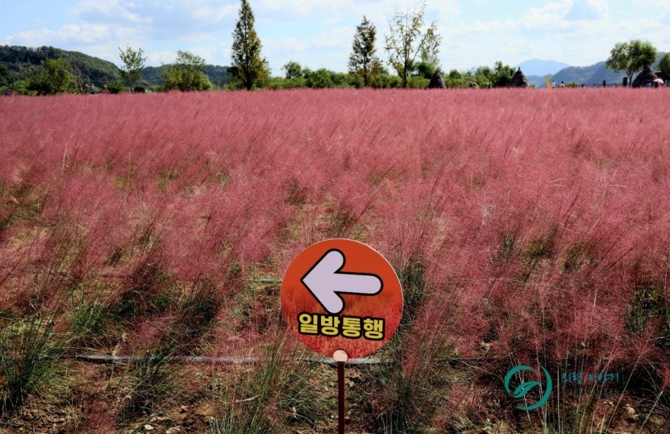 기강권역 이미지