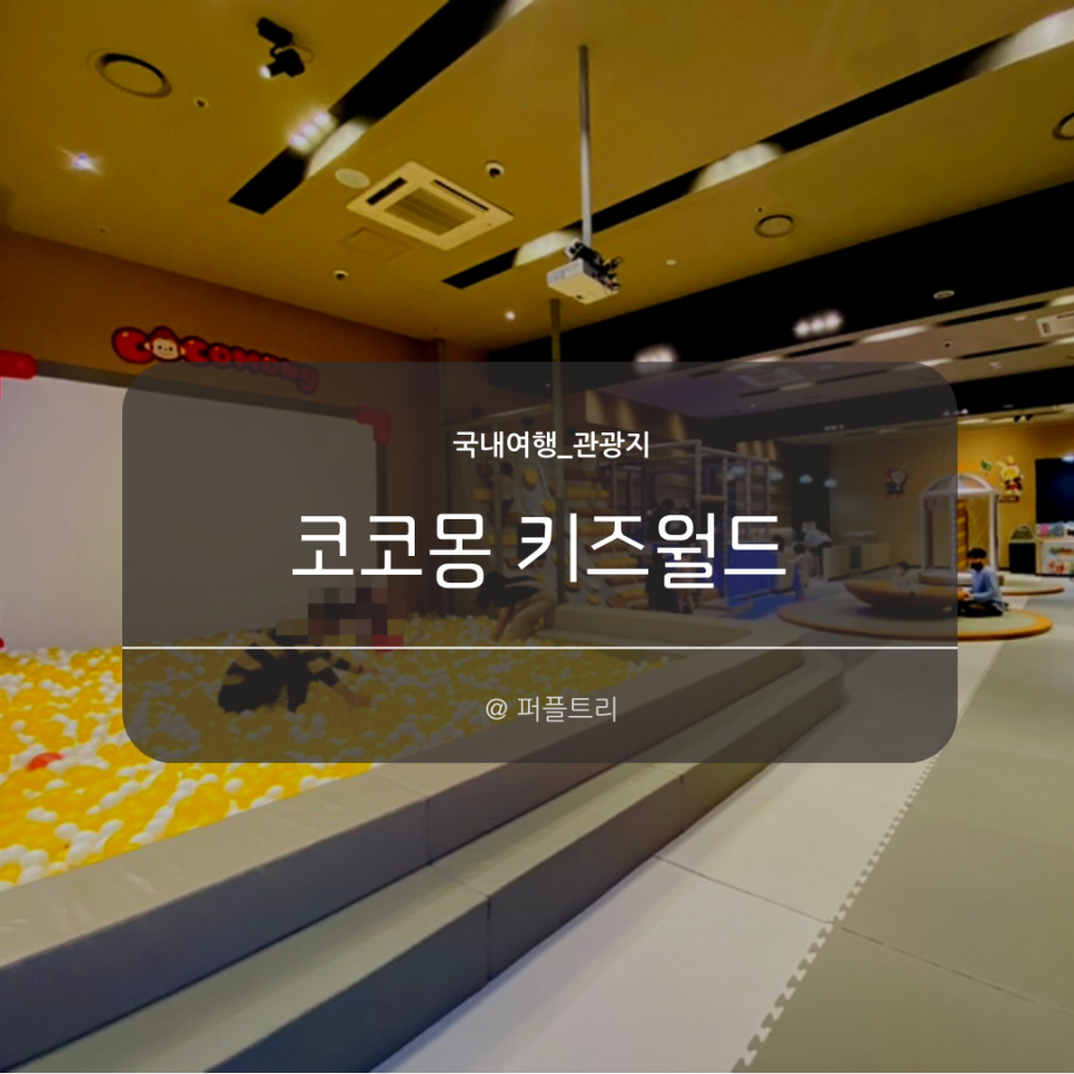 코코몽키즈월드 이미지