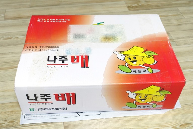배꼽시계 대표 사진