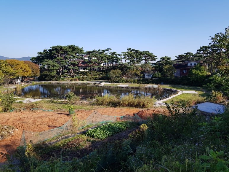 카페석포리 이미지