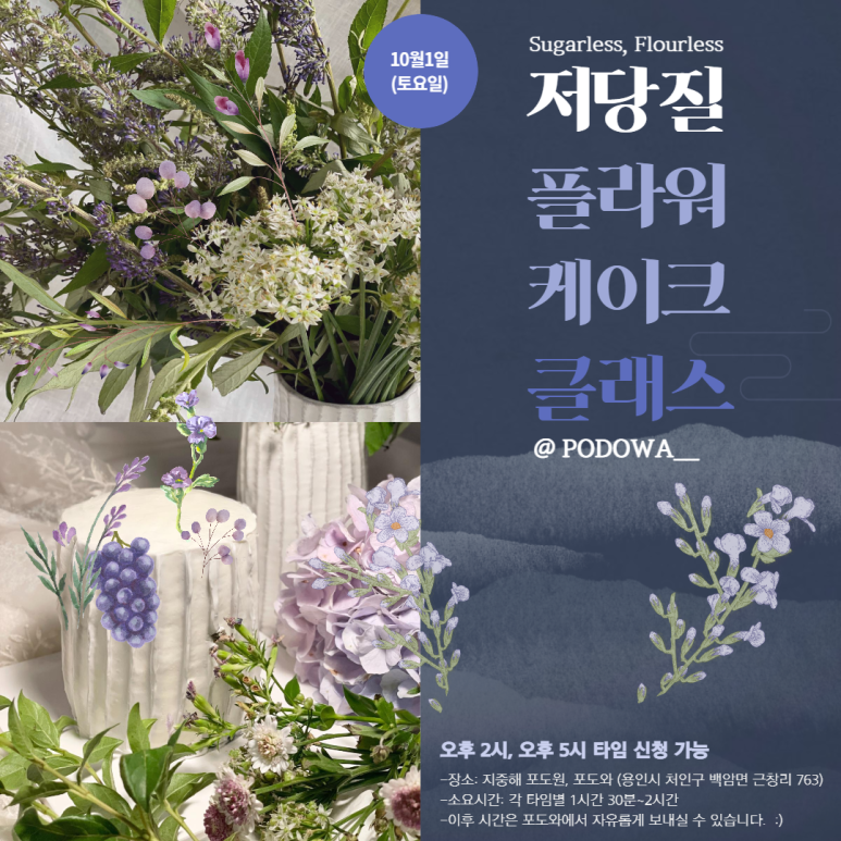 갸또올리비에 이미지
