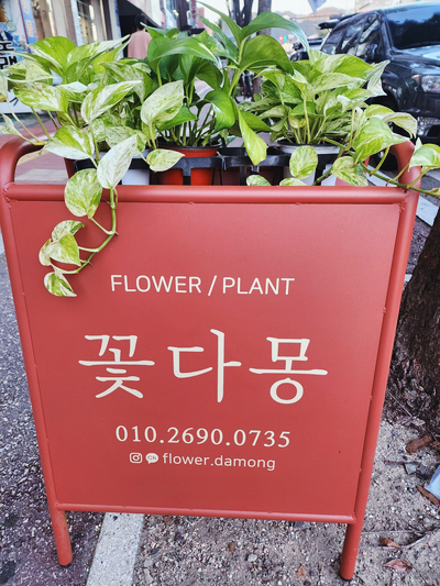 꽃다몽 이미지