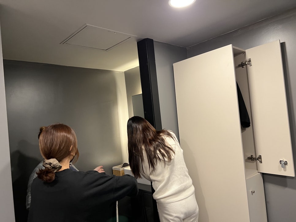 그레이슈가링 이미지
