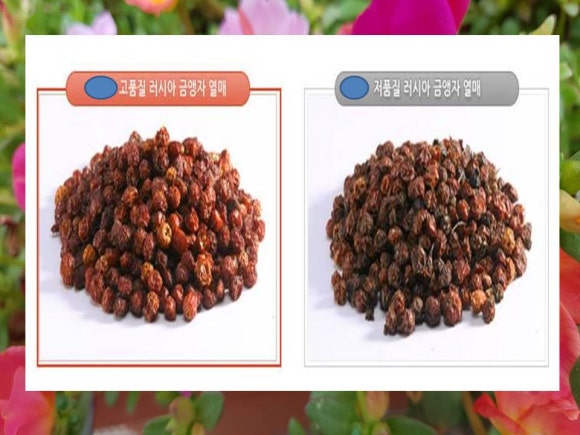 열매양품 이미지