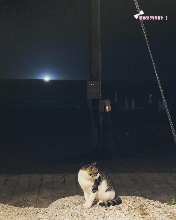 죽도고기마트 이미지