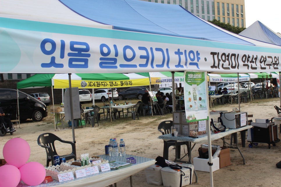 그레이슈가링 이미지