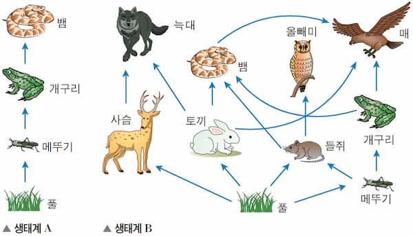 영에코 이미지