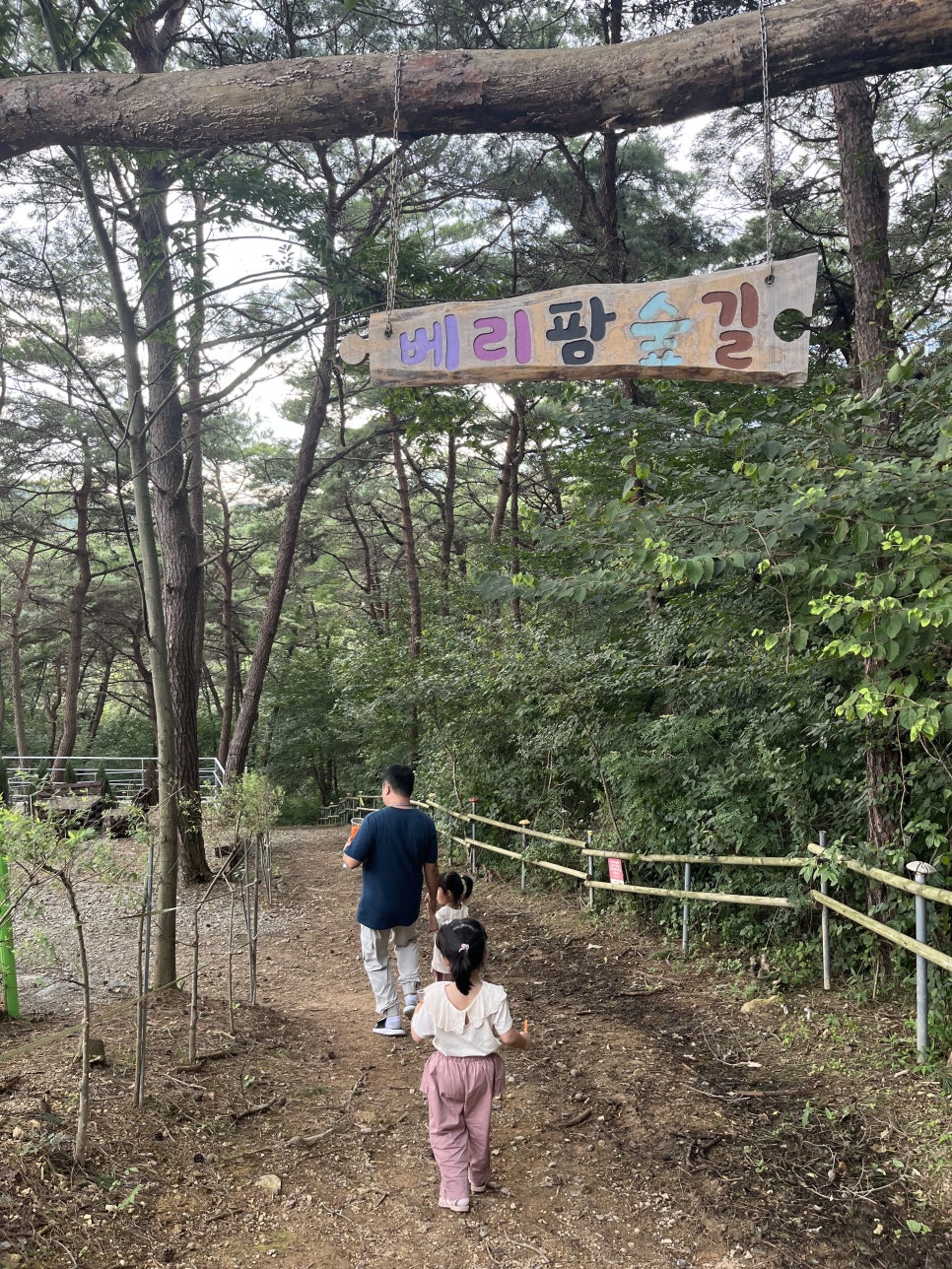 숲속의 베리팜 이미지