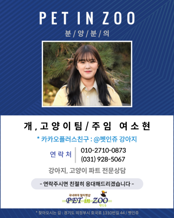 크림푼 이미지