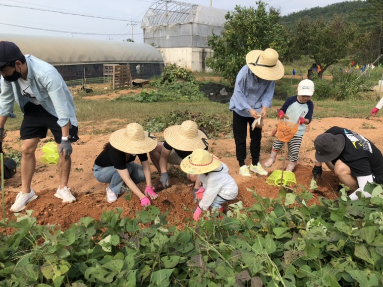 참솔영농조합 이미지