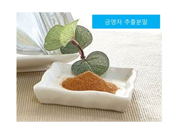 열매양품 이미지