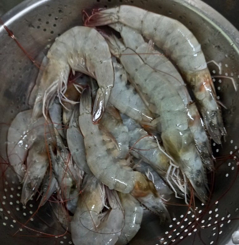 디씨유통 이미지