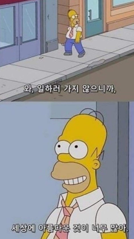 헤어피플 이미지