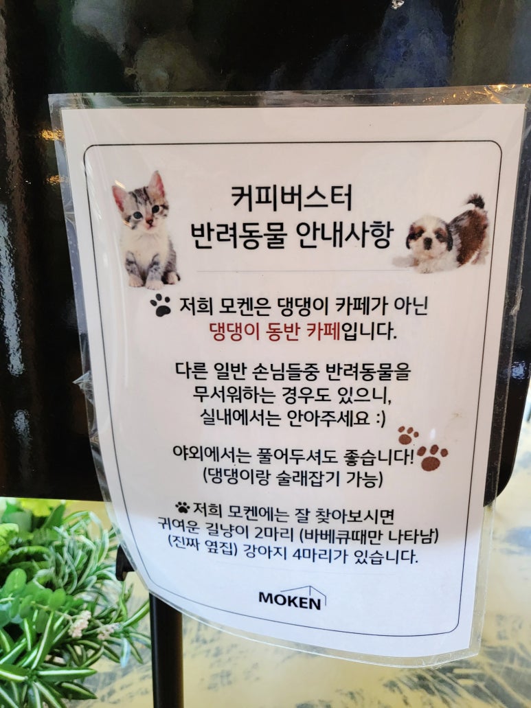 모켄뮤지엄카페 이미지