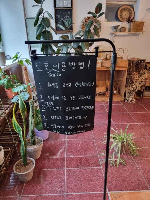 토호플라워 이미지
