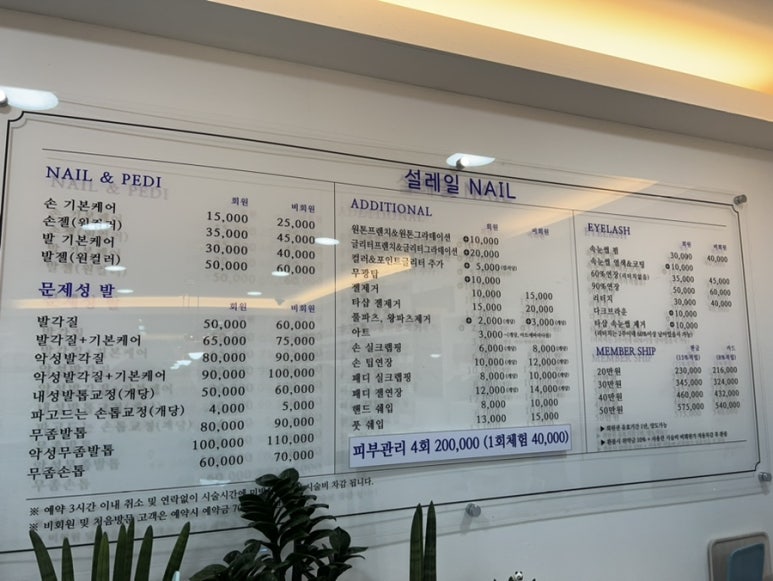 네일설레다 이미지