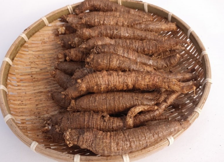 횡성더덕농장 이미지
