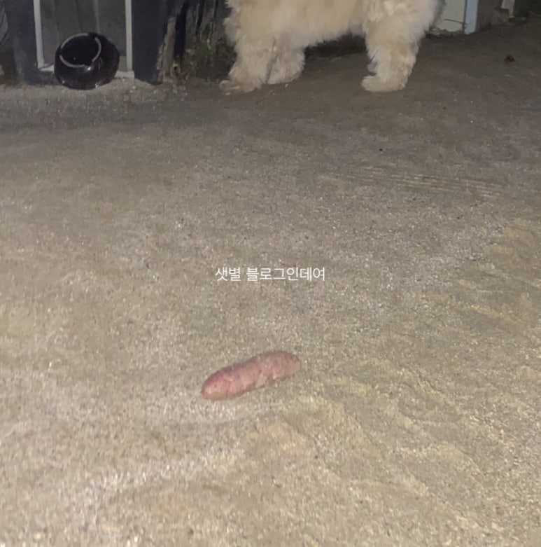 세자매남촌칼국수 이미지