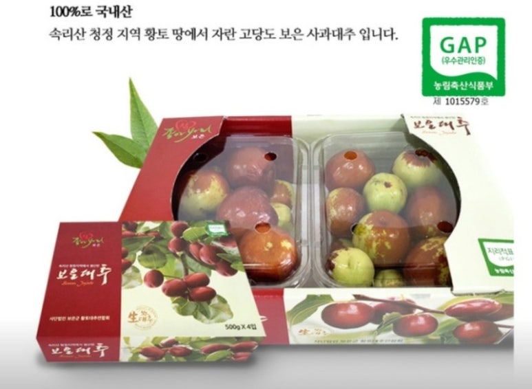 보은바이크 이미지