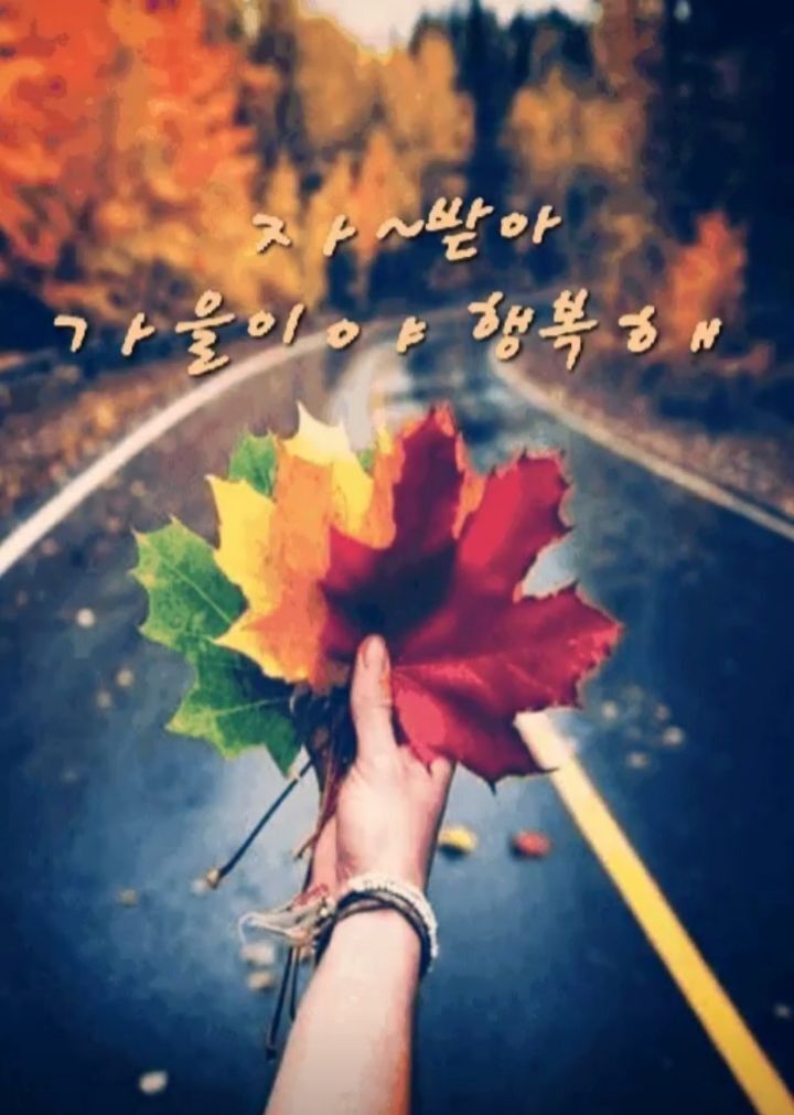 싱싱한하루 이미지