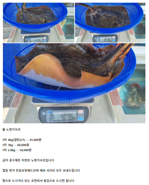 회성수산 이미지