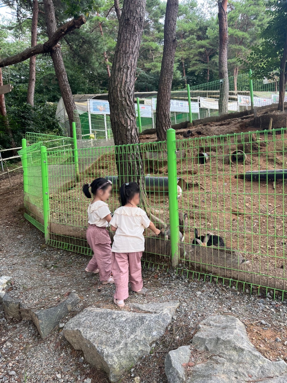 숲속의 베리팜 이미지