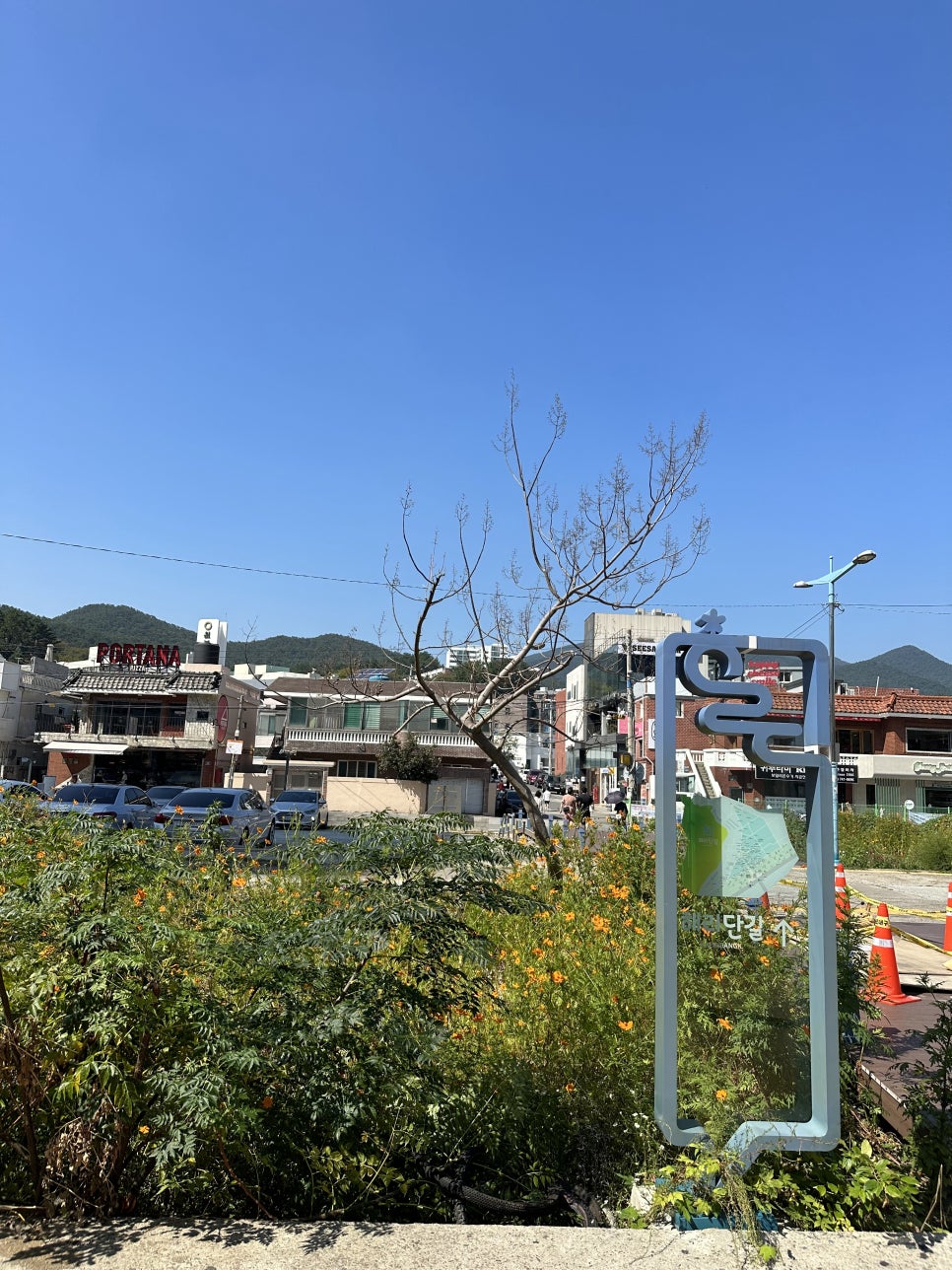 카페CCD부산 이미지
