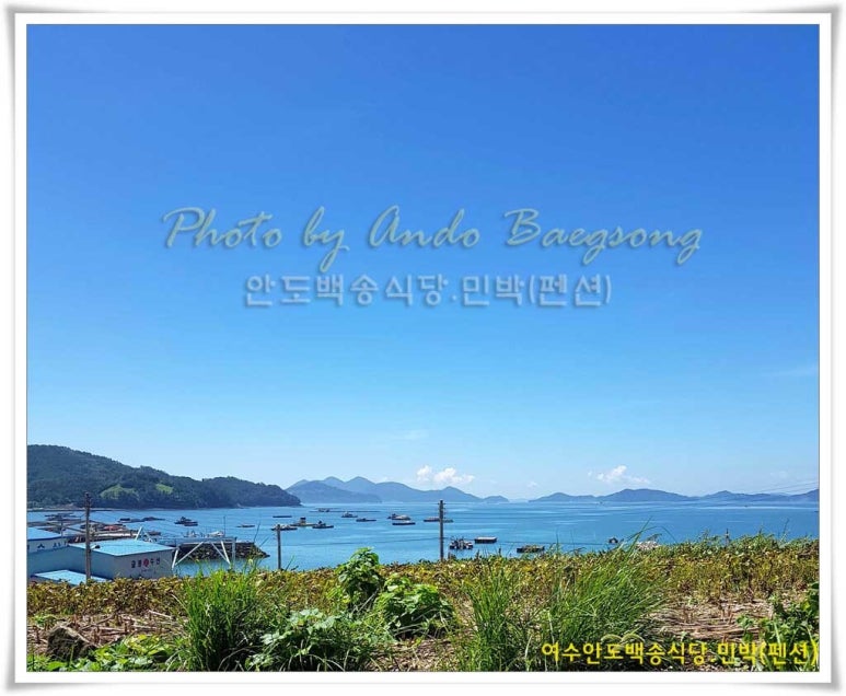 안도식당 이미지