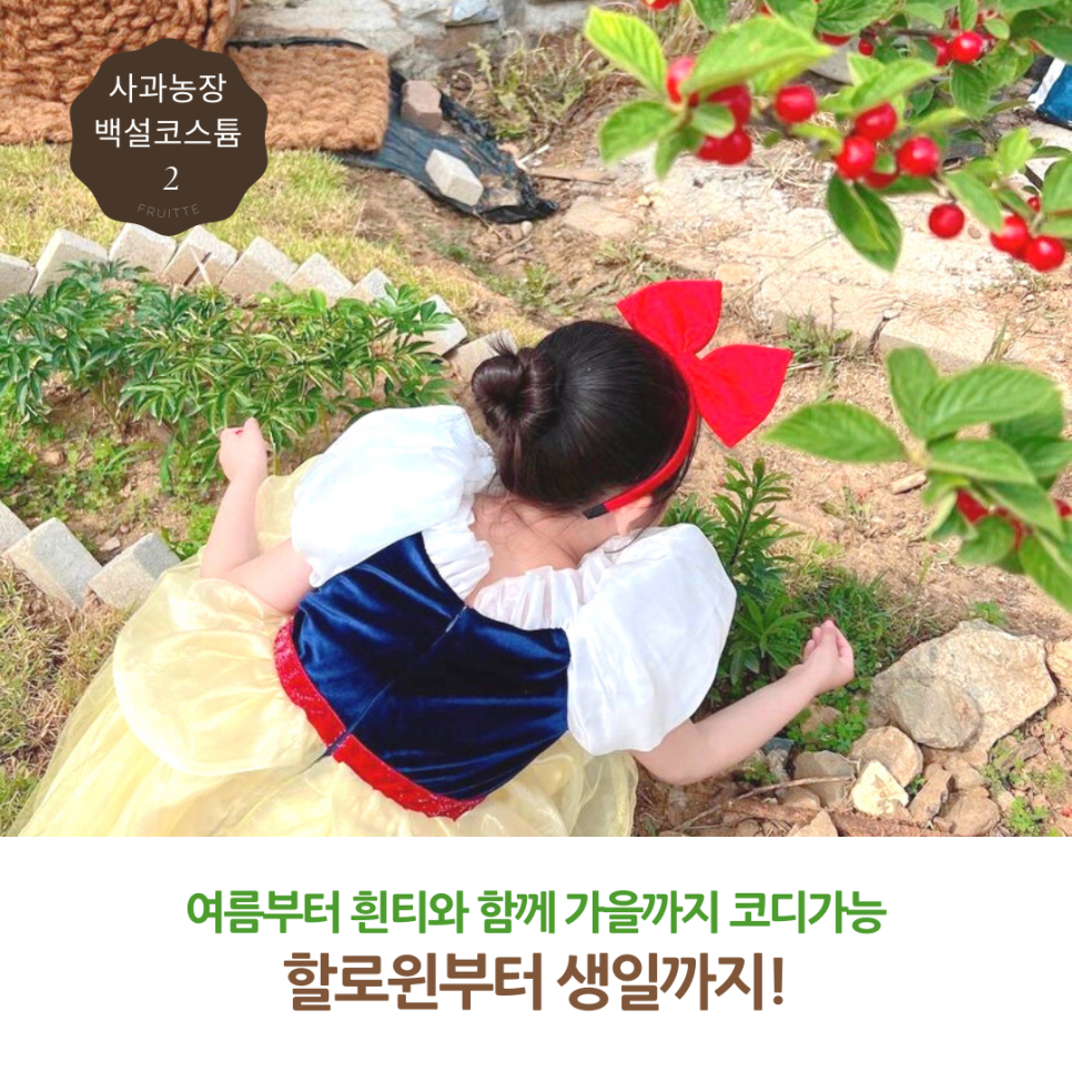 포마이앤젤 이미지