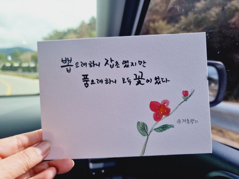 홍천시네마 이미지