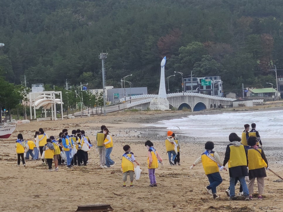 월포초등학교 이미지