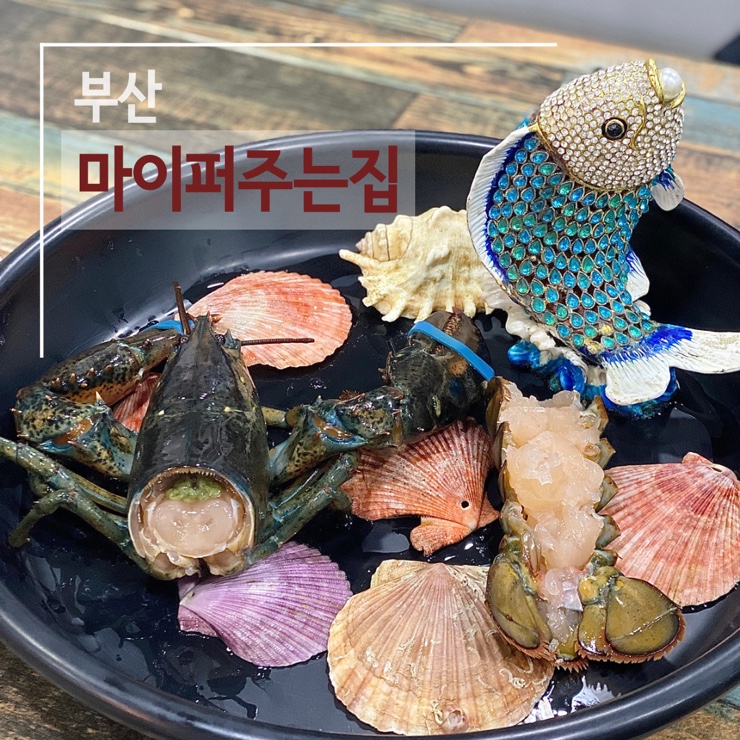 마이퍼주는집 이미지