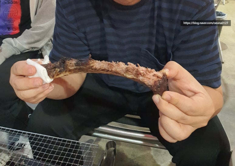 도사미트 이미지