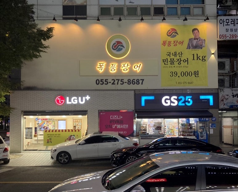 폭풍장어 이미지