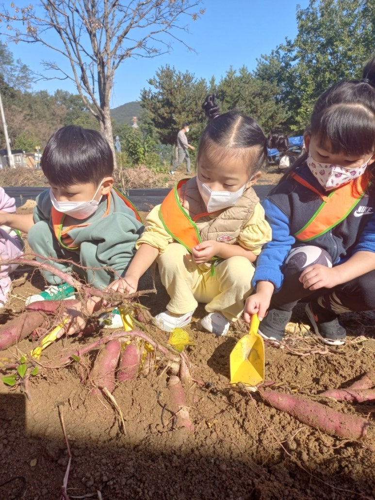 솔내음체험학습장 이미지